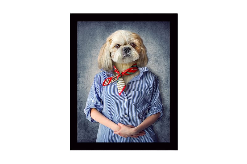 Dekorativ Indrammet MDF-maleri 41x56 cm, Flerfarvet