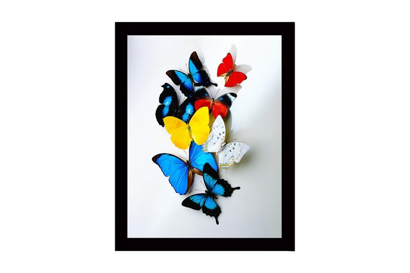 Dekorativ Indrammet MDF-maleri 41x56 cm, Flerfarvet