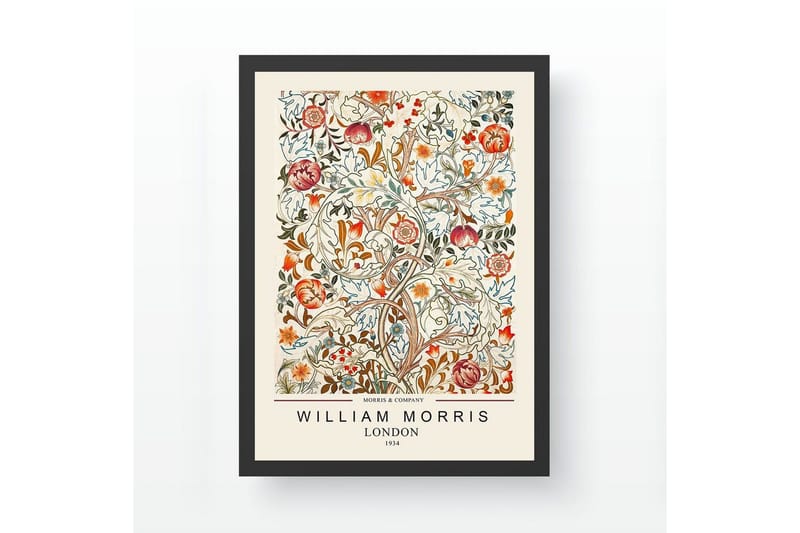 Dekorativt Indrammet Maleri Campora Ticoman Multifarvet (35 x 45 cm), Multifarvet