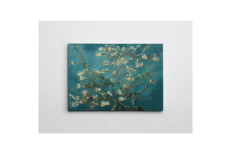 Dekorativt Lærredsmaleri Marro Multifarvet - 70 x 100 cm - Boligtilbehør - Billeder & kunst - Billeder på lærred