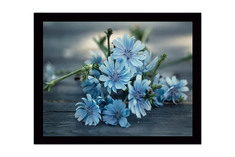 Indrammet lærred i træ - 41x56 cm - Blomster i bløde blå nuancer - Lyseblå / Grøn - Boligtilbehør - Billeder & kunst