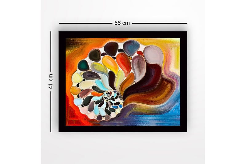 Indrammet lærred i træ - 41x56 cm - Farverig muslingeskal med abstrakte former - Orange / Brun / Hvid - Boligtilbehør - Billeder & kunst