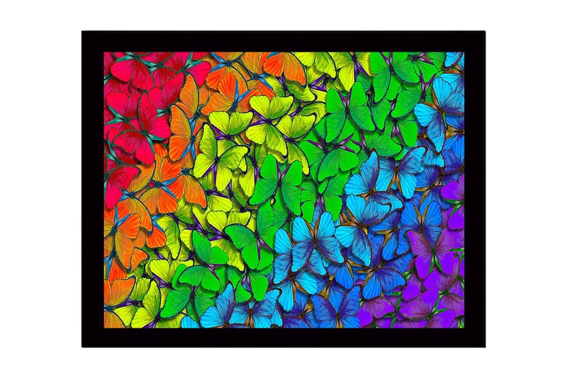 Indrammet lærred i træ - 41x56 cm - Farverig samling af sommerfugle i forskellige nuancer, Grøn / Blå / Rød