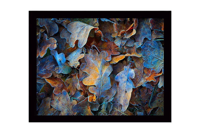 Indrammet lærred i træ - 41x56 cm - Farverige efterårsblade i en harmonisk komposition, Blå / Orange / Brun