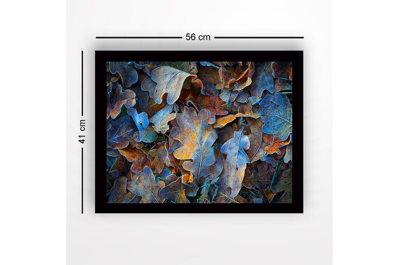 Indrammet lærred i træ - 41x56 cm - Farverige efterårsblade i en harmonisk komposition - Blå / Orange / Brun - Boligtilbehør - Billeder & kunst