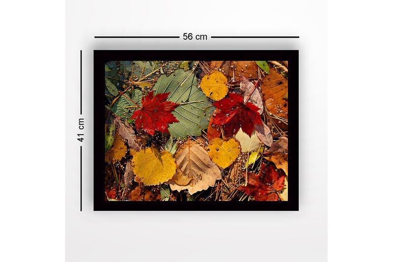 Indrammet lærred i træ - 41x56 cm - Farverige efterårsblade på jorden - Rød / Gul / Grøn - Boligtilbehør - Billeder & kunst