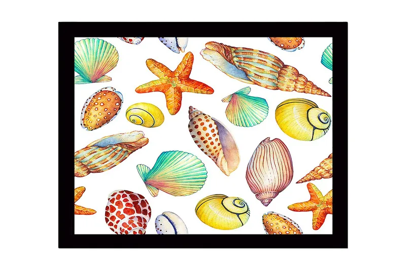 Indrammet lærred i træ - 41x56 cm - Farverige skaller og søstjerner i en legende komposition, Gul / Orange / Grøn