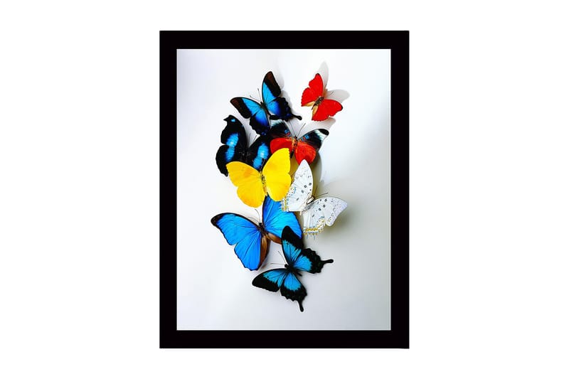 Indrammet lærred i træ - 41x56 cm - Farverige sommerfugle i en dynamisk komposition, Blå / Gul / Rød