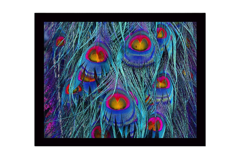 Indrammet lærred i træ - 41x56 cm - Farverige påfuglefjer i en abstrakt komposition, Turkis / Lilla / Guld