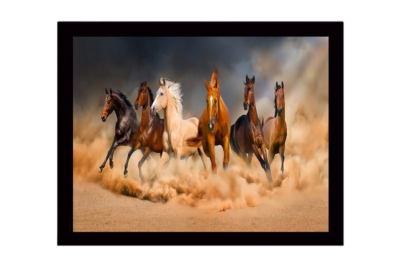 Indrammet lærred i træ - 41x56 cm - Fem heste bevæger sig gennem en sandstorm - Brun / Beige / Sort - Boligtilbehør - Billeder & kunst