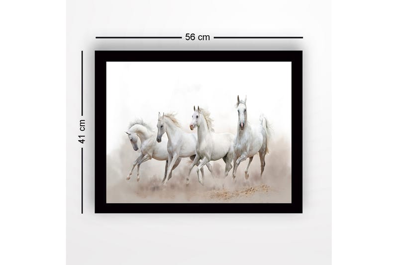 Indrammet lærred i træ - 41x56 cm - Fire hvide heste i bevægelse - Hvid / Lysegrå - Boligtilbehør - Billeder & kunst