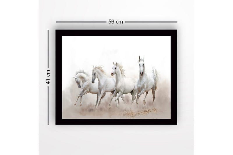 Indrammet lærred i træ - 41x56 cm - Fire hvide heste i bevægelse - Hvid / Lysegrå - Boligtilbehør - Billeder & kunst