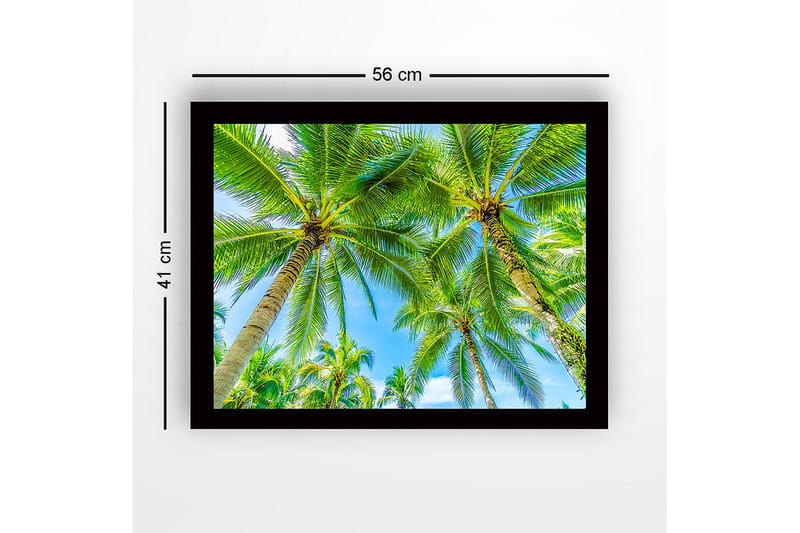 Indrammet lærred i træ - 41x56 cm - Høje palmer mod en klar blå himmel - Grøn / Blå - Boligtilbehør - Billeder & kunst