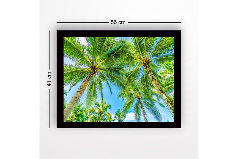 Indrammet lærred i træ - 41x56 cm - Høje palmer mod en klar blå himmel - Grøn / Blå - Boligtilbehør - Billeder & kunst