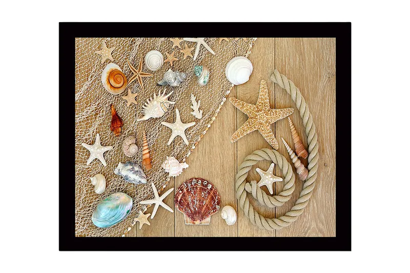 Indrammet lærred i træ - 41x56 cm - Havinspireret samling af skaller og søstjerner, Beige / Hvid / Blå