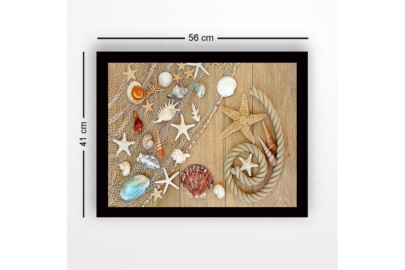 Indrammet lærred i træ - 41x56 cm - Havinspireret samling af skaller og søstjerner - Beige / Hvid / Blå - Boligtilbehør - Billeder & kunst