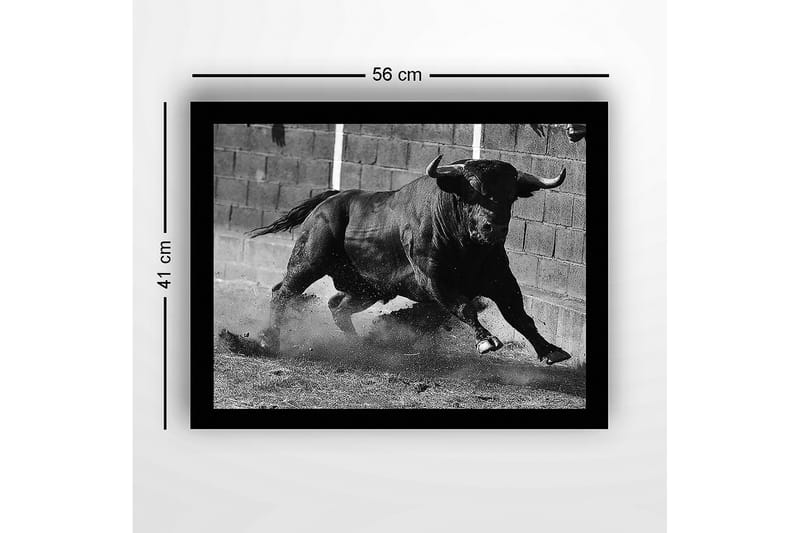 Indrammet lærred i træ - 41x56 cm - Kraftig tyr i bevægelse - Sort / Grå - Boligtilbehør - Billeder & kunst