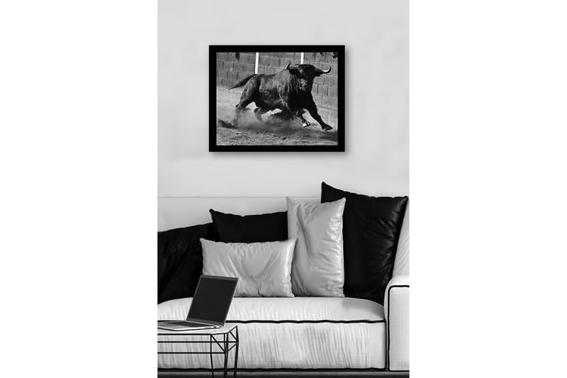 Indrammet lærred i træ - 41x56 cm - Kraftig tyr i bevægelse - Sort / Grå - Boligtilbehør - Billeder & kunst