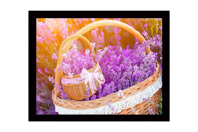 Indrammet lærred i træ - 41x56 cm - Kurv fyldt med lavendelblomster - Lilla / Grøn / Brun - Boligtilbehør - Billeder & kunst