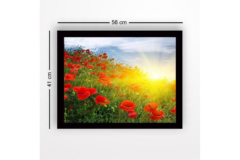 Indrammet lærred i træ - 41x56 cm - Mark af røde valmuer i solopgangens lys - Rød / Grøn / Gul - Boligtilbehør - Billeder & kunst