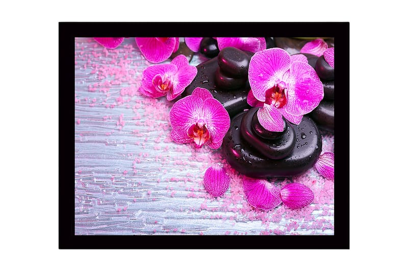 Indrammet lærred i træ - 41x56 cm - Smuk samling af orkideer og sorte sten, Lyserød / Sort / Lysegrå