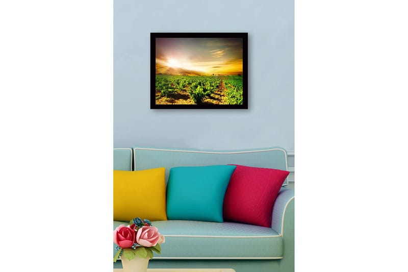 Indrammet lærred i træ - 41x56 cm - Smuk vingård under en solopgang - Grøn / Gul / Orange - Boligtilbehør - Billeder & kunst