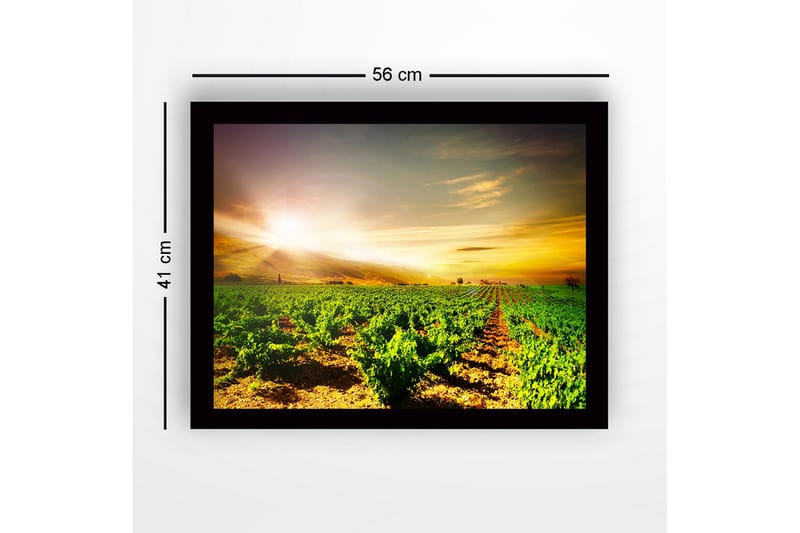 Indrammet lærred i træ - 41x56 cm - Smuk vingård under en solopgang - Grøn / Gul / Orange - Boligtilbehør - Billeder & kunst