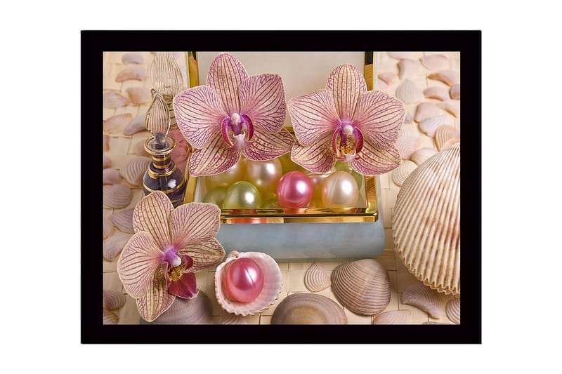 Indrammet lærred i træ - 41x56 cm - Smukke orkideer omgivet af perler og skaller, Lys pink / Grøn / Perlehvid