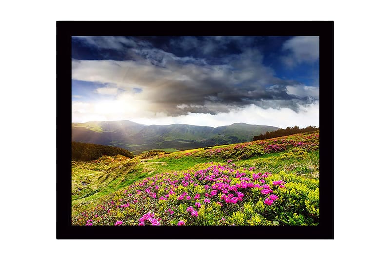 Indrammet lærred i træ - 41x56 cm - Smukt bjerglandskab med blomstrende enge, Grøn / Lyserød / Blå
