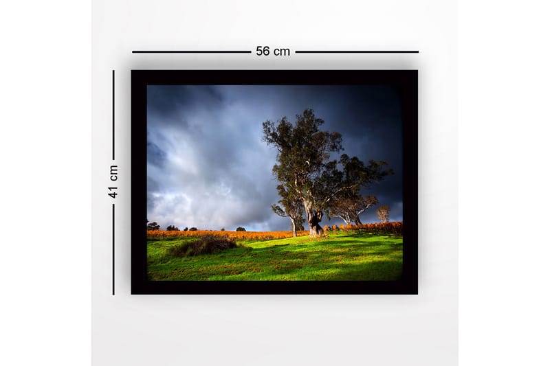 Indrammet lærred i træ - 41x56 cm - Statsligt egetræ i dramatisk landskabsomgivelse - Mørkegrøn / Grå / Orange - Boligtilbehør - Billeder & kunst