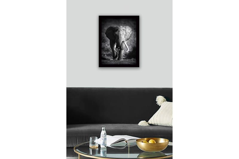 Indrammet lærred i træ - 41x56 cm - Storslået elefant i majestætisk positur - Sort / Grå - Boligtilbehør - Billeder & kunst
