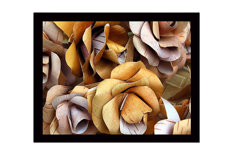 Indrammet lærred i træ - 41x56 cm - Tørrede roser i naturlige nuancer, Lysebrun / Beige / Hvid