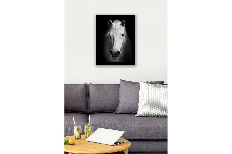 Indrammet lærred i træ - 41x56 cm - Portræt af en hvid hest med stærke kontraster - Hvid / Sort - Boligtilbehør - Billeder & kunst