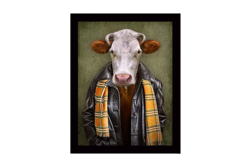 Indrammet lærred i træ - 41x56 cm - Påklædt ko med læderjakke og tørklæde, Sort / Orange / Grøn