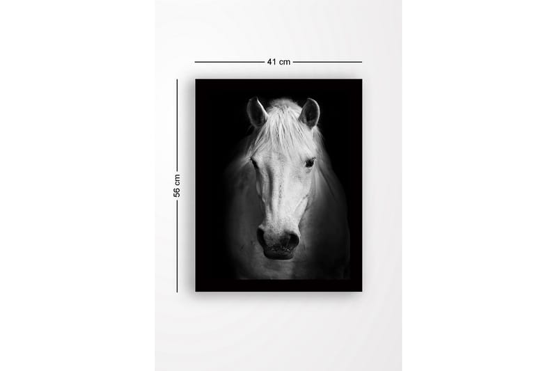 Indrammet lærred i træ - 41x56 cm - Portræt af en hvid hest med stærke kontraster - Hvid / Sort - Boligtilbehør - Billeder & kunst