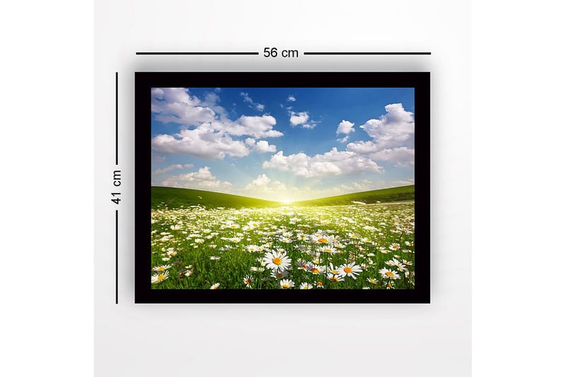 Indrammet lærredstryk i træ - 41x56 cm - Blomstrende eng med margueritter under en klar himmel - Grøn / Hvid / Blå - Boligtilbehør - Billeder & kunst