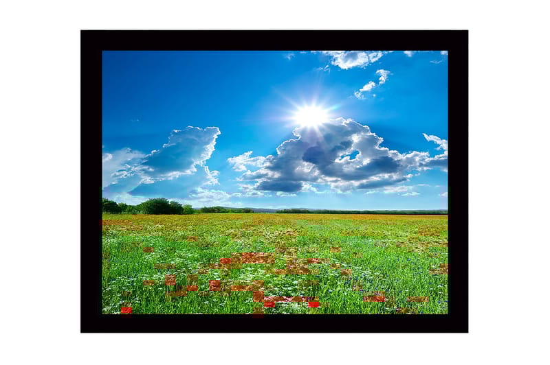 Indrammet lærredstryk i træ - 41x56 cm - Blomstrende eng med røde valmuer og hvide blomster under en klar blå himmel, Grøn / Rød / Hvid