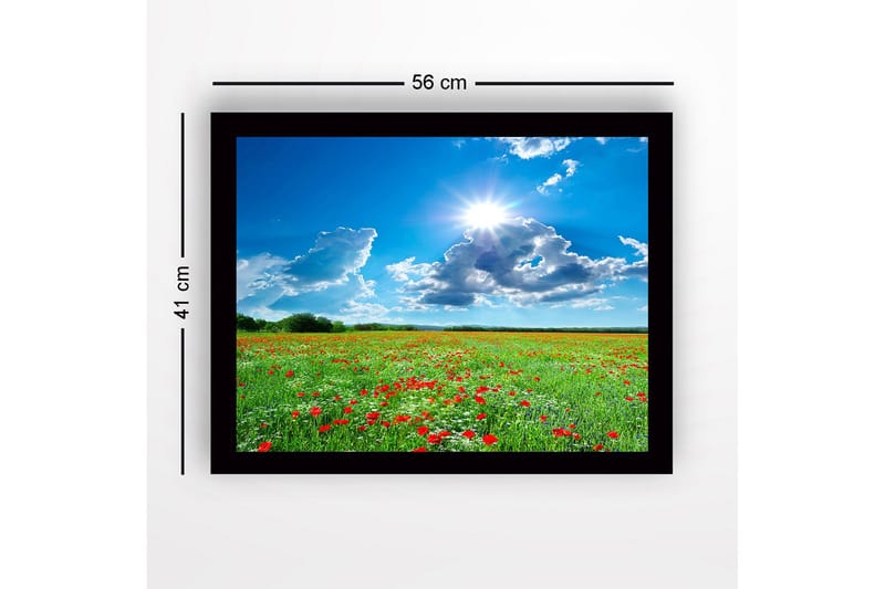 Indrammet lærredstryk i træ - 41x56 cm - Blomstrende eng med røde valmuer og hvide blomster under en klar blå himmel - Grøn / Rød / Hvid - Boligtilbehør - Billeder & kunst