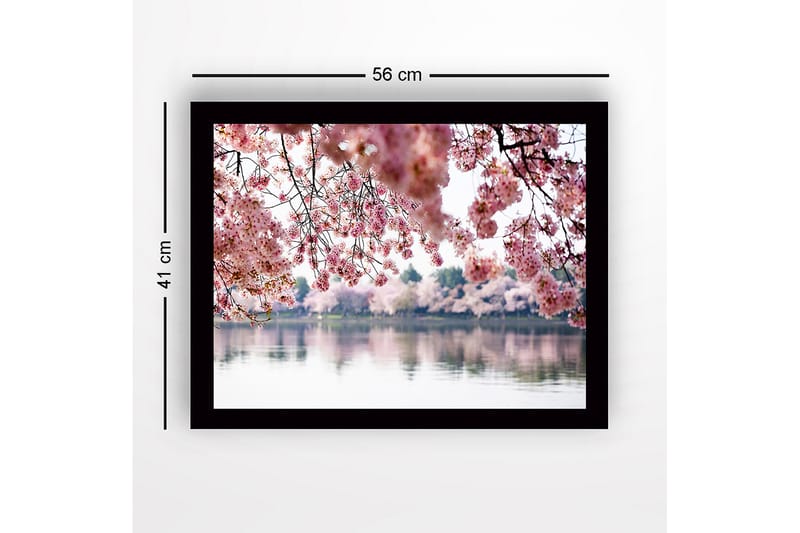Indrammet lærredstryk i træ - 41x56 cm - Blomstrende kirsebærtræer ved en spejlblank sø - Lyserød / Grøn / Blå - Boligtilbehør - Billeder & kunst