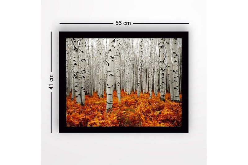 Indrammet lærredstryk i træ - 41x56 cm - Efterårsskov med birketræer og gyldne bregner - Hvid / Orange - Boligtilbehør - Billeder & kunst