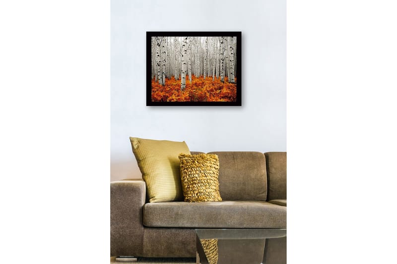 Indrammet lærredstryk i træ - 41x56 cm - Efterårsskov med birketræer og gyldne bregner - Hvid / Orange - Boligtilbehør - Billeder & kunst