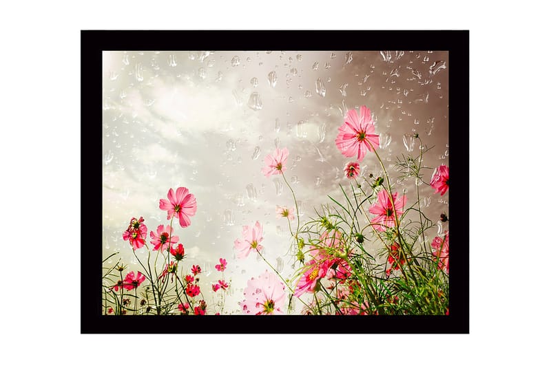 Indrammet lærredstryk i træ - 41x56 cm - Farverig blomstereng med lyserøde blomster, Lyserød / Grøn