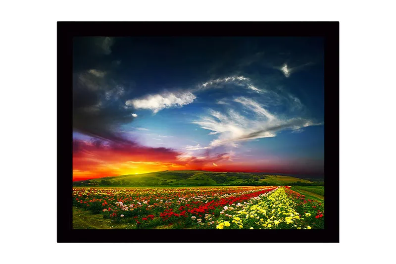 Indrammet lærredstryk i træ - 41x56 cm - Farverig blomstereng under en dramatisk solnedgang, Rød / Gul / Grøn