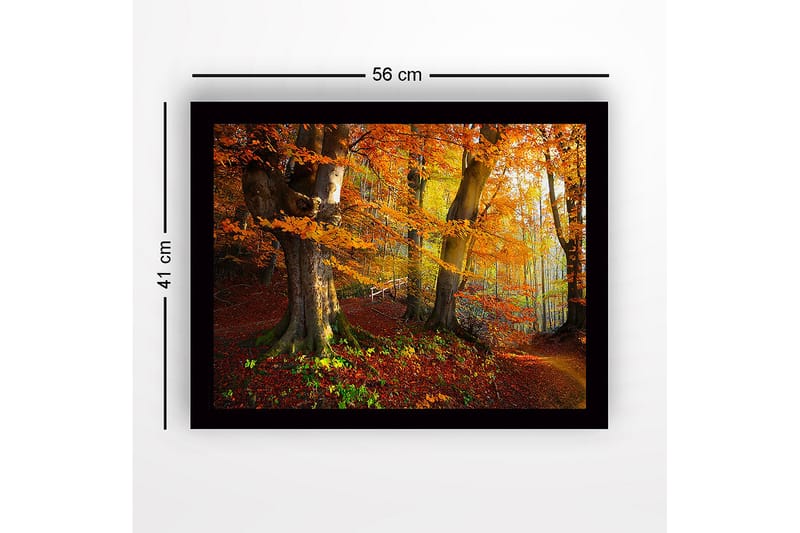 Indrammet lærredstryk i træ - 41x56 cm - Farverig efterårsskov med gyldent og orange løv - Orange / Gul / Grøn - Boligtilbehør - Billeder & kunst