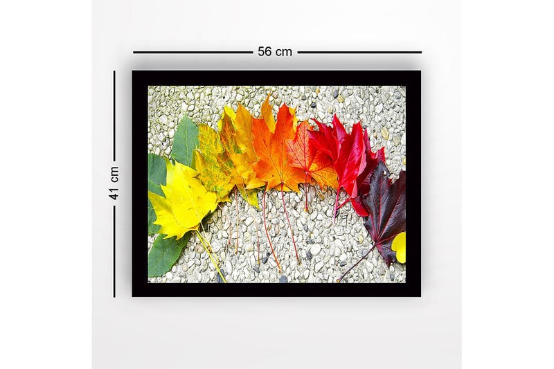 Indrammet lærredstryk i træ - 41x56 cm - Farverig række af efterårsblade i forskellige nuancer - Gul / Orange / Rød - Boligtilbehør - Billeder & kunst
