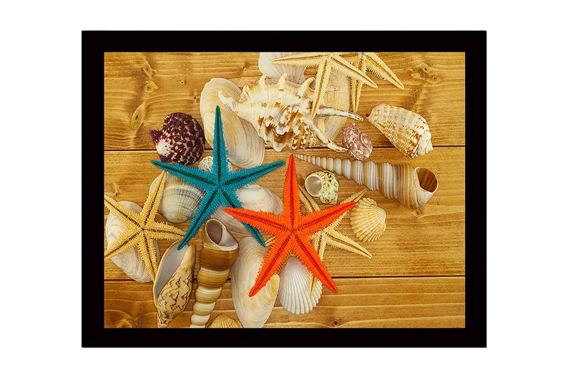 Indrammet lærredstryk i træ - 41x56 cm - Farverig søstjerne på en baggrund af skaller og træ, Turkis / Orange / Beige