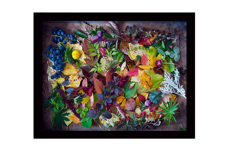 Indrammet lærredstryk i træ - 41x56 cm - Farverig samling af efterårsblade og bær, Grøn / Rød / Gul