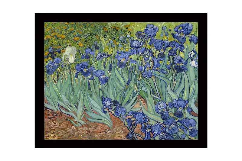 Indrammet lærredstryk i træ - 41x56 cm - Farverig samling af irisblomster, Blå / Grøn / Brun