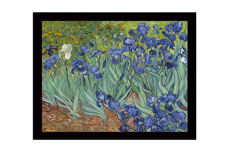 Indrammet lærredstryk i træ - 41x56 cm - Farverig samling af irisblomster, Blå / Grøn / Brun