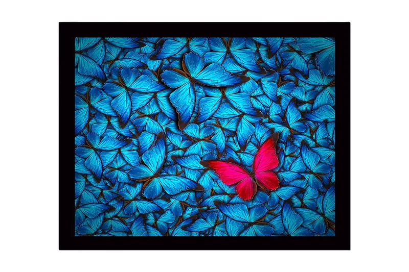 Indrammet lærredstryk i træ - 41x56 cm - Farverig samling af sommerfugle med en fremtrædende lyserød sommerfugl, Blå / Lyserød